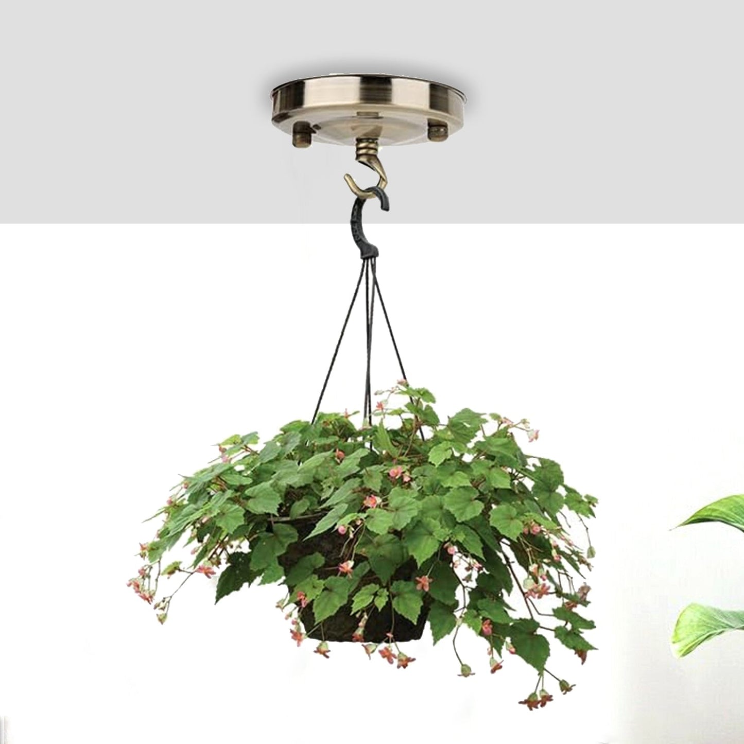 Vintage Style Metal Ceiling Rose Hook Plate For Light Fitting~2097-0